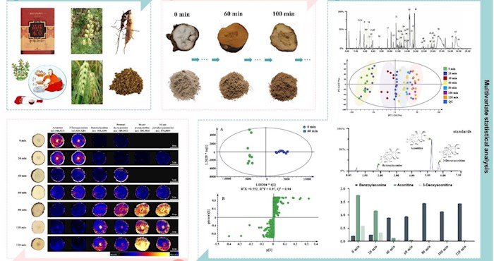 张艺研究员团队在《arabian journal of chemistry》发表藏药糌粑制铁棒锤炮制机制研究成果